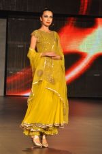 at Blenders Pride Fashion Tour 2011 Day 2 on 24th Sept 2011 (257).jpg